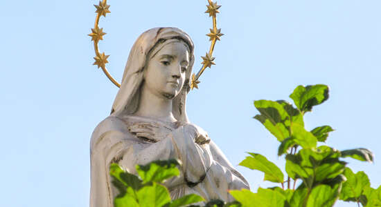 Niepokalana Dziewica