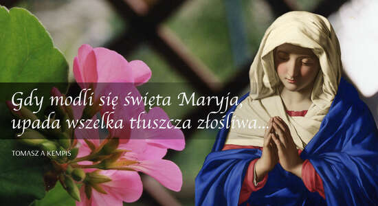 Boleść i pocieszenie błogosławionej Dziewicy Maryi